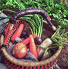 AfricanheritageGH Basket With A Strong Handle